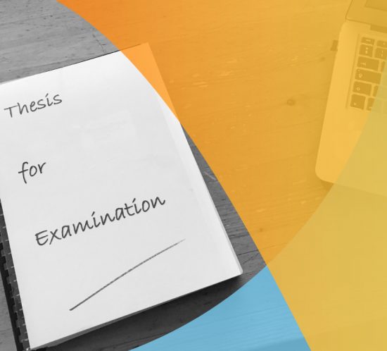 The Examination Process: assessment of written theses or dissertations Post grad environments